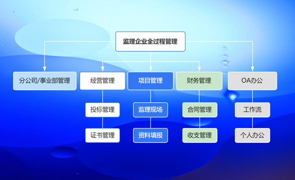 监理企业全过程管理