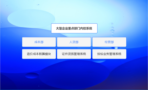 大型企业重点部门内控系统
